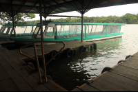 anhinga lodge dock 
 - Costa Rica