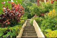 hotel la colina stairs 
 - Costa Rica