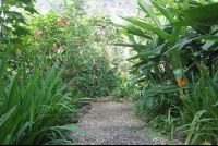 montezuma butterfly garden trail 
 - Costa Rica