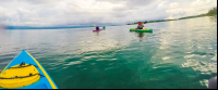        Starting Off The Puerto Jimenez Beach Kayaking Platanares Mangroves In Puerto Jimenez
  - Costa Rica