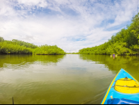        At Receding Tide Platanares Mangroves In Puerto Jimenez
  - Costa Rica