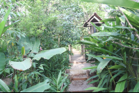 garden bridge montezuma butterfly garden 
 - Costa Rica
