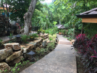        pathways at village 
  - Costa Rica