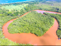 Aerial View Tamarindo Estauary Canal Loop And Playa Grande
 - Costa Rica