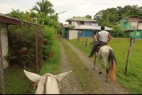 terraventuras beach horseback ride pueblos 
 - Costa Rica