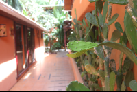        Cactus Rancho De La Playa Hallway
  - Costa Rica