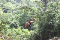        canopy punta islita 
  - Costa Rica