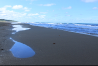 playa grande puddle 
 - Costa Rica