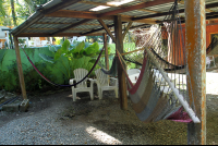        cabinas arrecife hammocks 
  - Costa Rica