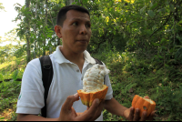 kekoldi reserve attraction cacao fruit 
 - Costa Rica