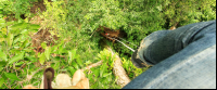        flight of the toucan tree climb combo tour top 
  - Costa Rica