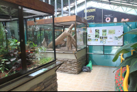 moneverde serpentarium inside 
 - Costa Rica