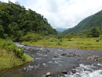 crossing childrens ete rnfrst final river 
 - Costa Rica
