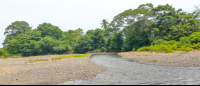        Ario River Flow
  - Costa Rica