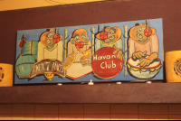 Havana Club Deco At The Place Hotel
 - Costa Rica