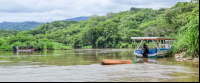 tarcoles river overview 
 - Costa Rica
