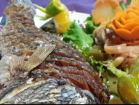 Whole Fish At Las Vegas Restaurant Sierpe
 - Costa Rica