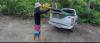 Surfer Instructor Unloading Surf Boards
 - Costa Rica