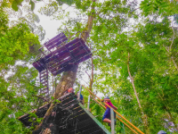 Tall Platform Corcovado Canopy Tour
 - Costa Rica