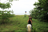        jungle beach horseback tour beach entrance 
  - Costa Rica