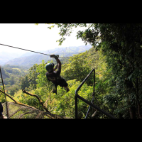        extremos zipline shade 
  - Costa Rica
