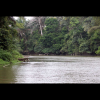        cano negro rio frio 
  - Costa Rica