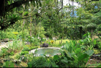        hot springs lodge pool 
  - Costa Rica
