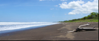 playa nosara stretch
 - Costa Rica