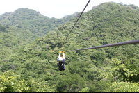 lady glides away
 - Costa Rica