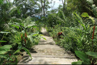 pura vida gardens stairs 
 - Costa Rica