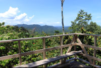kekoldi reserve attraction birdwatching tower 
 - Costa Rica