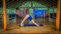 Doing Yoga Encanta La Vida Matapalo Costa Rica
 - Costa Rica