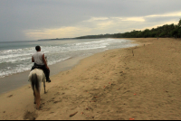 terraventuras beach horseback ride cocles beach 
 - Costa Rica
