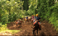 los suenos horses 
 - Costa Rica