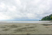        violin island beach trip from sierpe 
  - Costa Rica