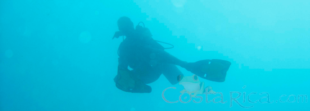 Costa Rica Scuba Diving: PADI Certification in Coco Part III