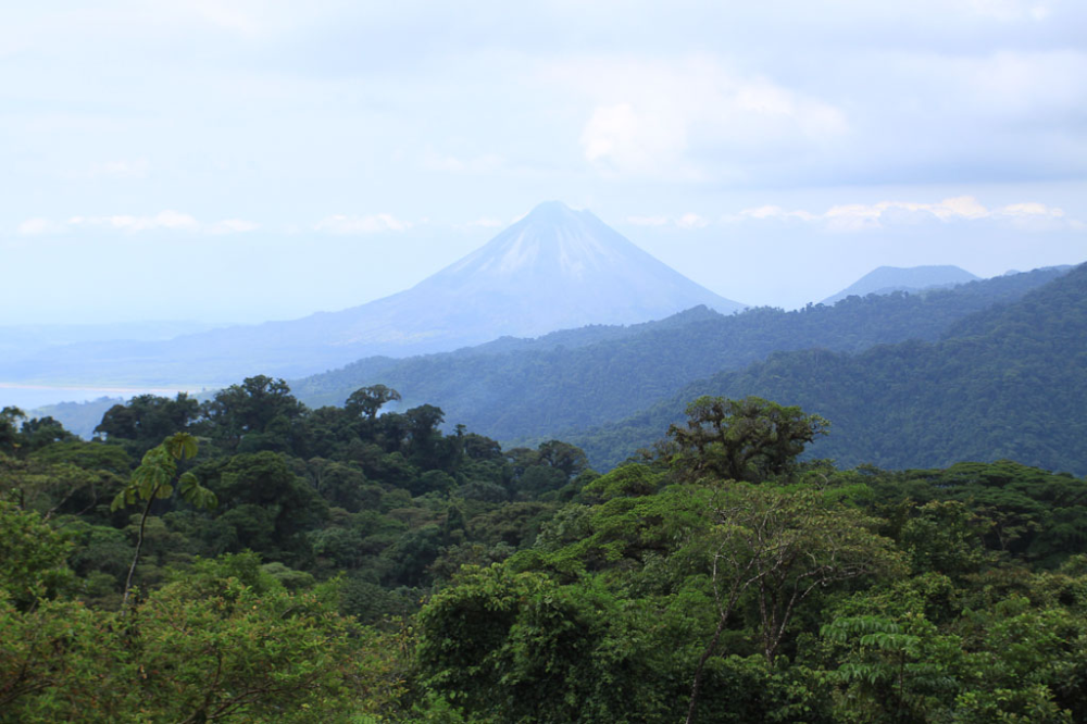 Crossing the Children's Eternal Rainforest in Monteverde