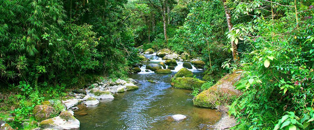 san gerardo de dota savegre river
 - Costa Rica