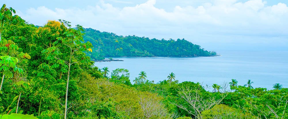 drake bay verdant coastline
 - Costa Rica