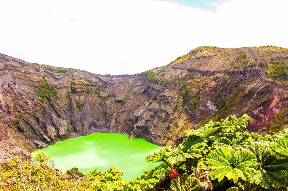 irazu volcano crater with poor man umbrella plants
 - Costa Rica