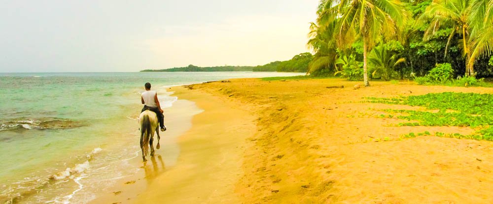 terraventuras beach horseback ride cocles 
 - Costa Rica
