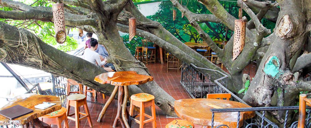        treehouse dining room 
  - Costa Rica