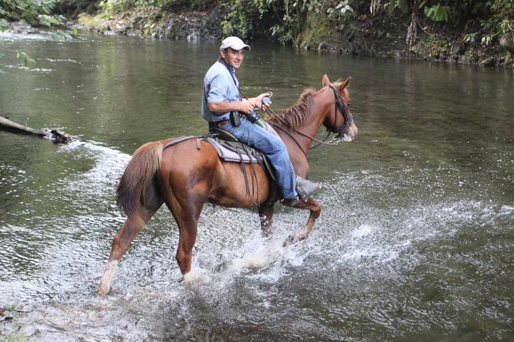 Cowboys and Horseback Rides