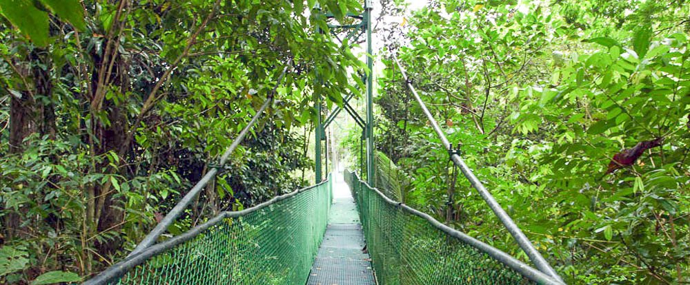       tirimbina suspennsion bridge
  - Costa Rica