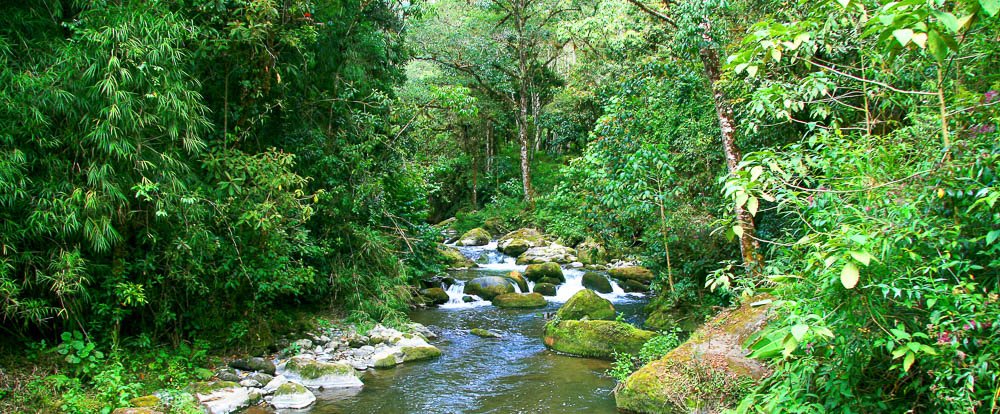 san gerardo de dota savegre river
 - Costa Rica