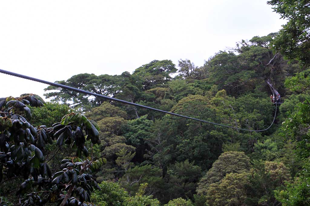        original canopy tour cable platform view 
  - Costa Rica