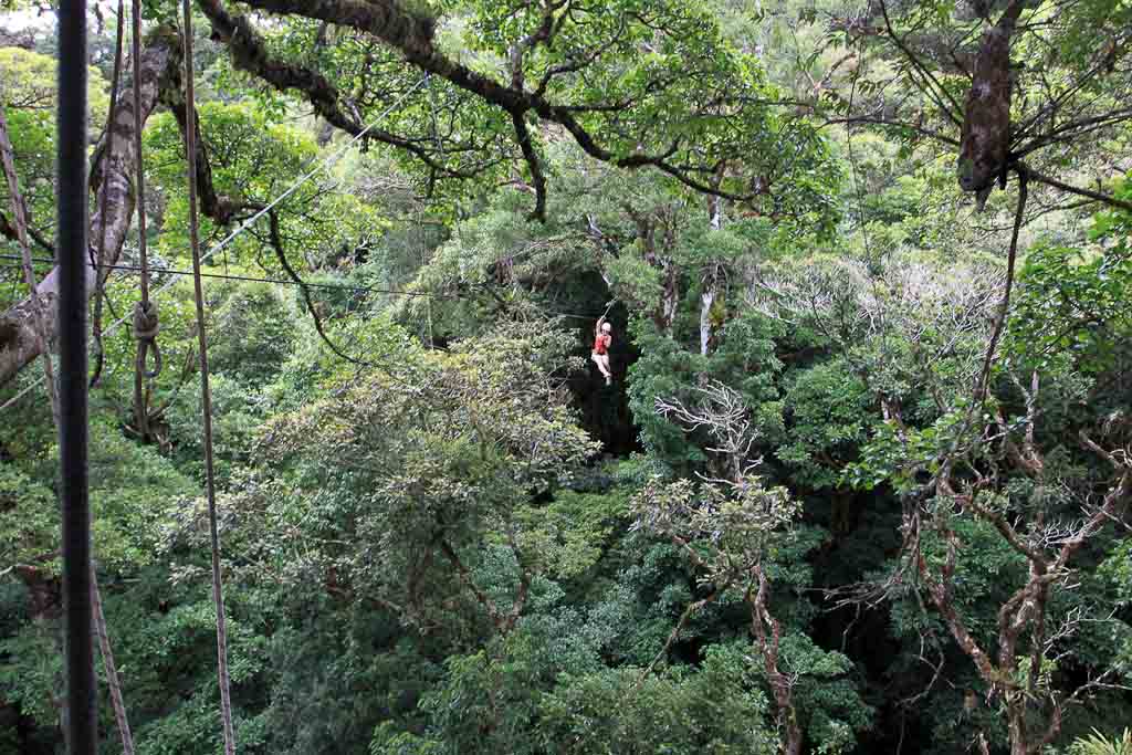        original canopy tour on cable 
  - Costa Rica