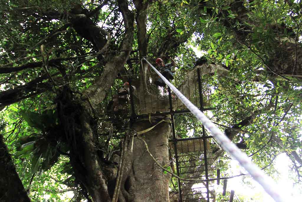        original canopy tour rappel 
  - Costa Rica