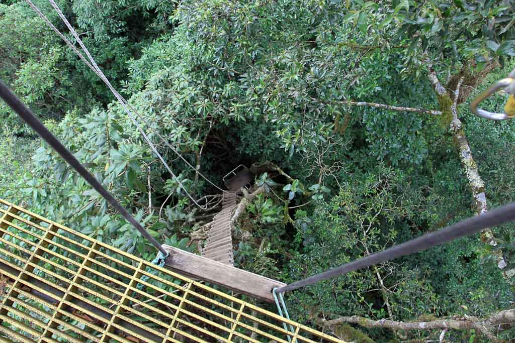        original canopy tour rope ladder 
  - Costa Rica