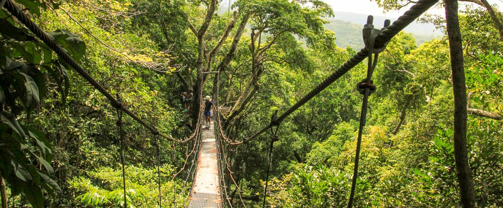 chiclets canopy tour suspension bridge 
 - Costa Rica